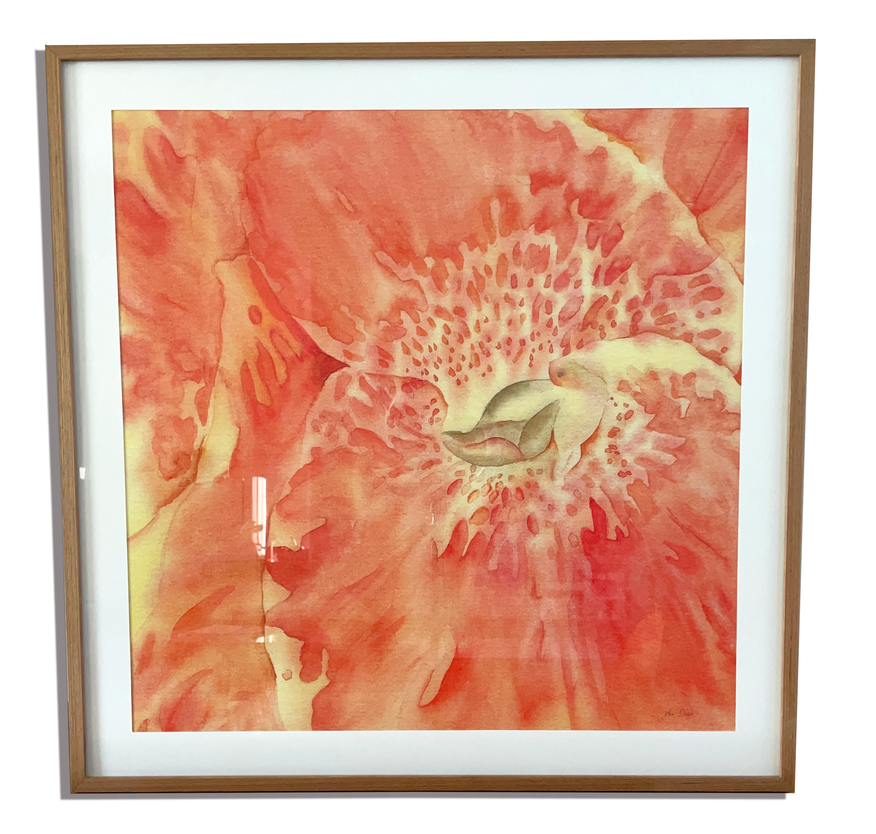 Print Observa 60×60